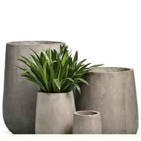 Trang trí & Phụ kiện