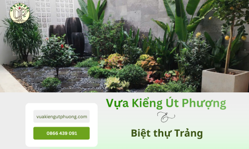 Biệt thự Trảng Bom được kiến tạo cảnh quan xanh lý tưởng