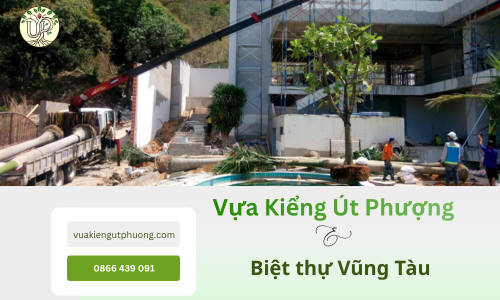 Biệt thự Vũng Tàu xanh mát nhờ cảnh quan Vựa Kiểng Út Phượng