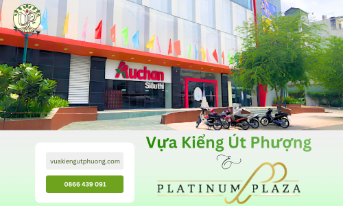 Dự Án Thi công cảnh quan TTTM chuyên nghiệp Platinum Plaza Quận 6