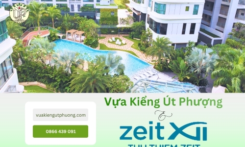 Dự Án Thi Công Cảnh Quan Căn Hộ Cao Cấp Tại Zeit Thủ Thiêm