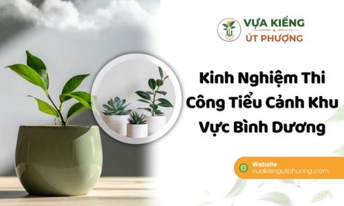 Kinh Nghiệm Thi Công Tiểu Cảnh Khu Vực Bình Dương