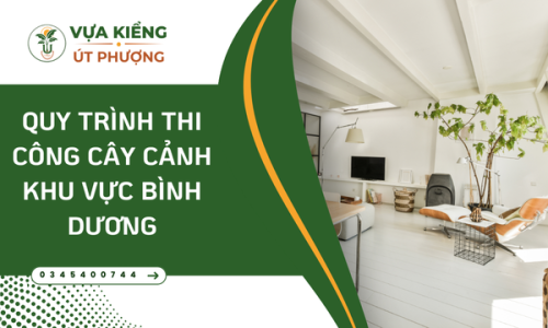 Quy Trình Thi Công Cây Cảnh Khu Vực Bình Dương