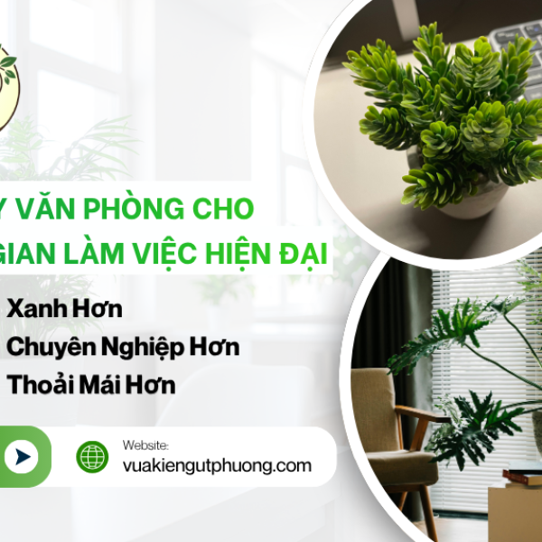 Cây văn phòng