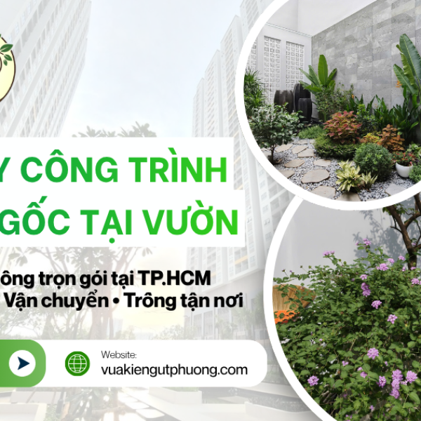 Cây công trình