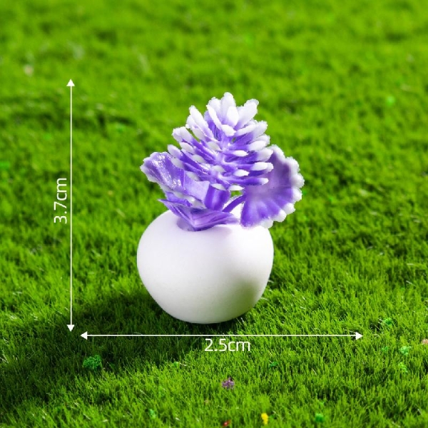 Trang trí & Phụ kiện